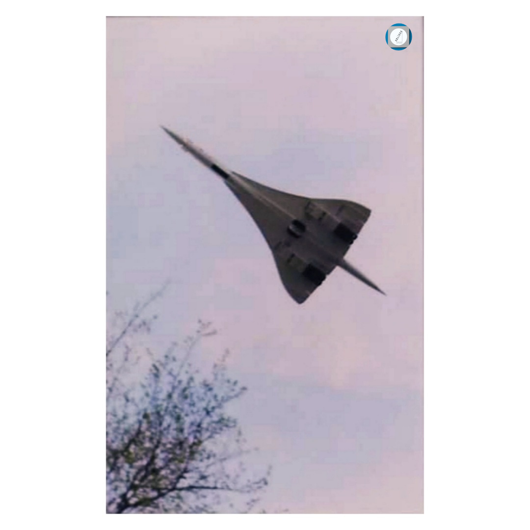194